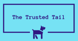 The Trusted Tail: Pet Wellness, Product Reviews, and Tips