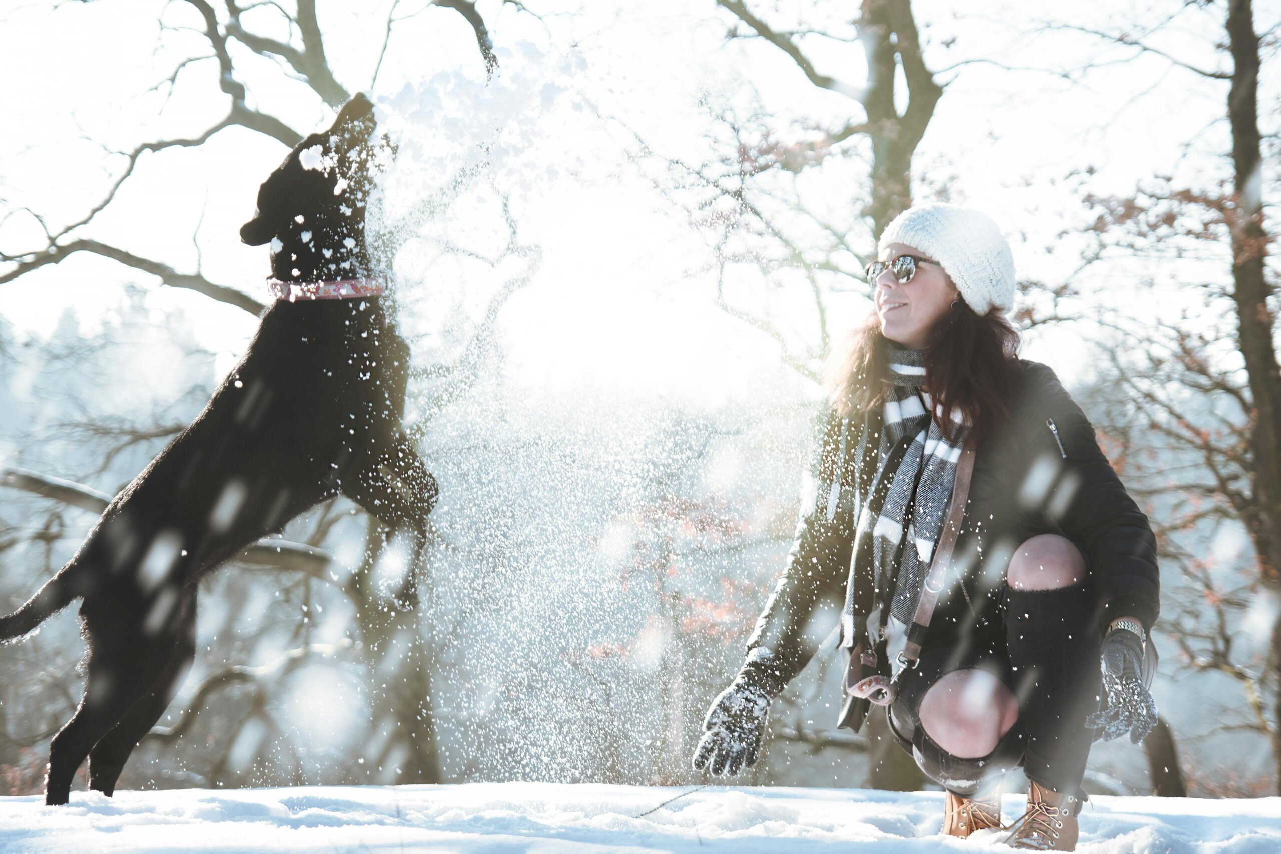 A woman enjoys winter fun with her dog in a snowy forest, capturing a joyful moment of play and happiness.